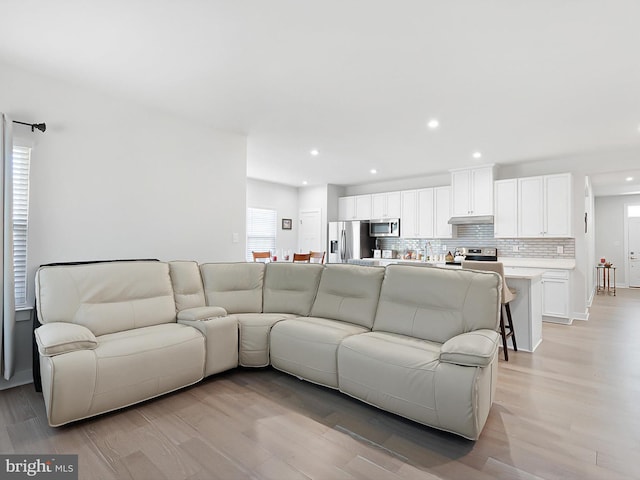 living room with light hardwood / wood-style flooring