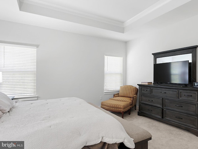 bedroom featuring a tray ceiling and light colored carpet