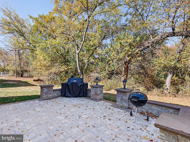 view of patio / terrace with grilling area