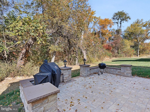 view of patio / terrace featuring grilling area