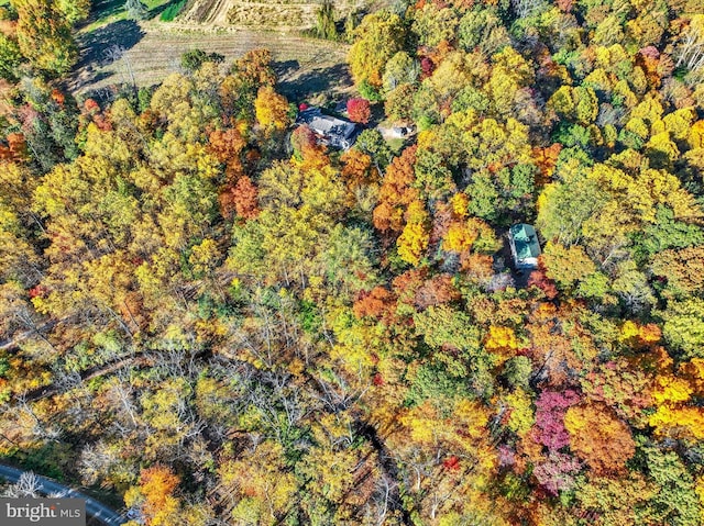 bird's eye view