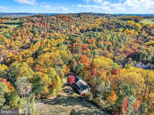 bird's eye view