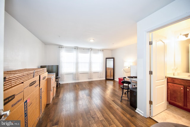 interior space with sink and wood-type flooring