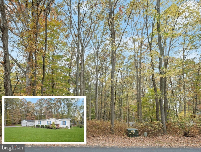 216 Gravel Run Rd, Grasonville MD, 21638 land for sale