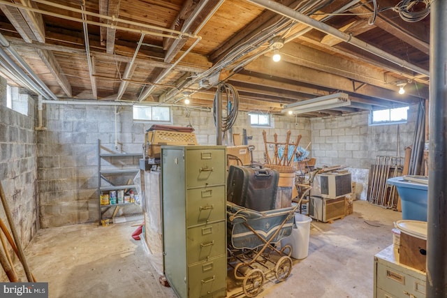 basement featuring a wealth of natural light