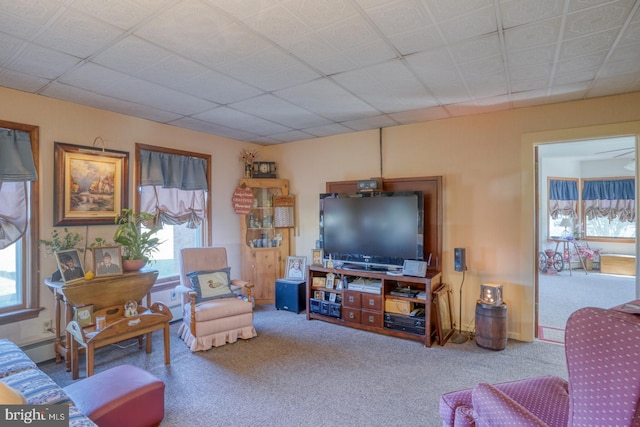 living room with carpet