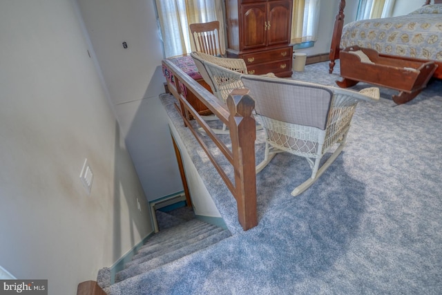 staircase with carpet floors