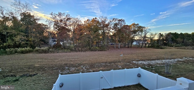 view of yard at dusk