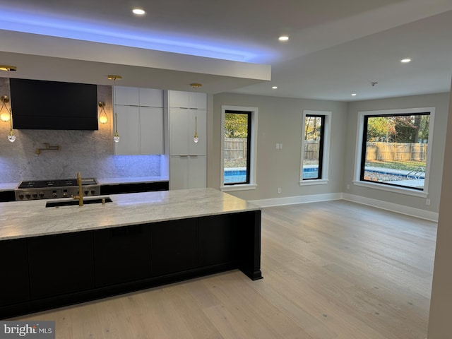 kitchen with backsplash, ventilation hood, plenty of natural light, and light wood-type flooring