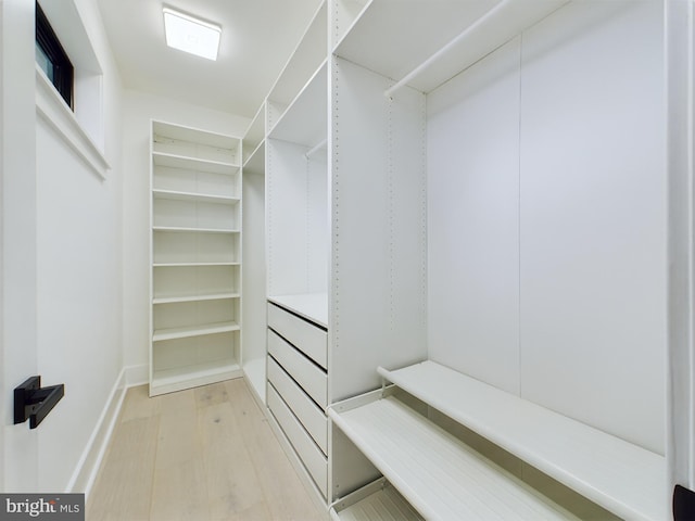 spacious closet with light hardwood / wood-style floors