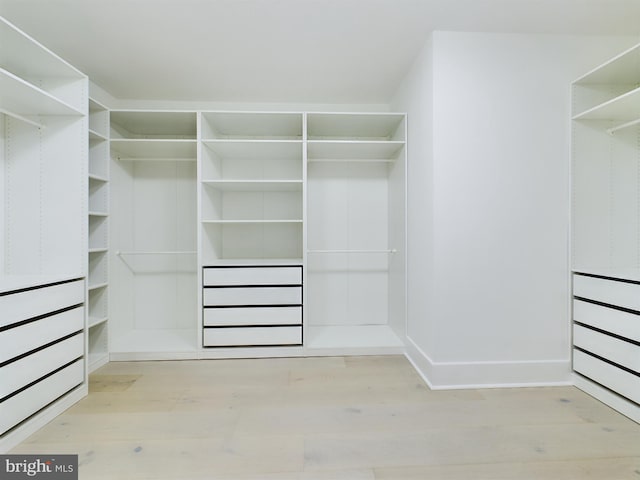 spacious closet with light hardwood / wood-style floors