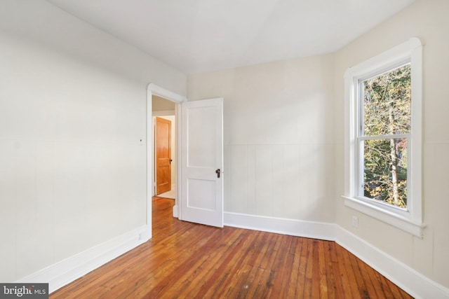 empty room featuring a wealth of natural light and wood-type flooring