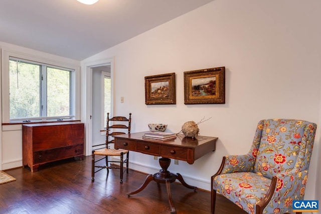 interior space featuring lofted ceiling and dark hardwood / wood-style flooring