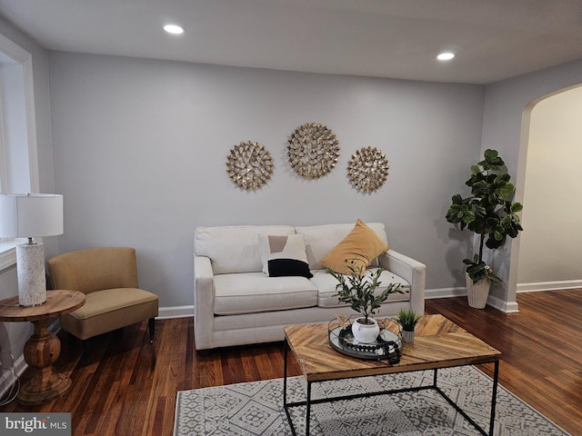 living room with dark hardwood / wood-style floors