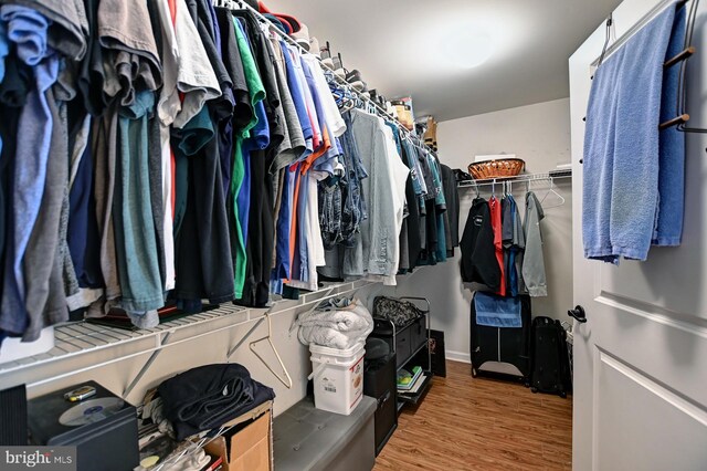 walk in closet featuring hardwood / wood-style floors