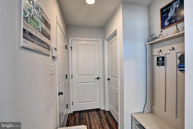 mudroom featuring dark hardwood / wood-style floors