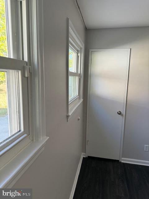 hall with dark hardwood / wood-style floors and a wealth of natural light