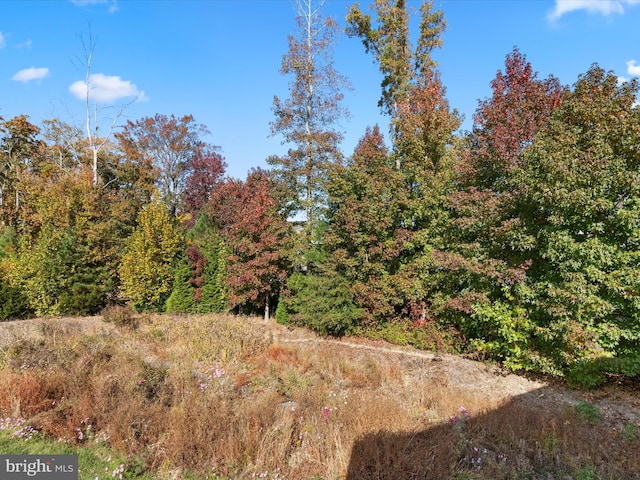 view of local wilderness