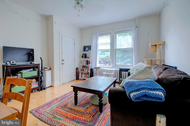 living room featuring hardwood / wood-style floors