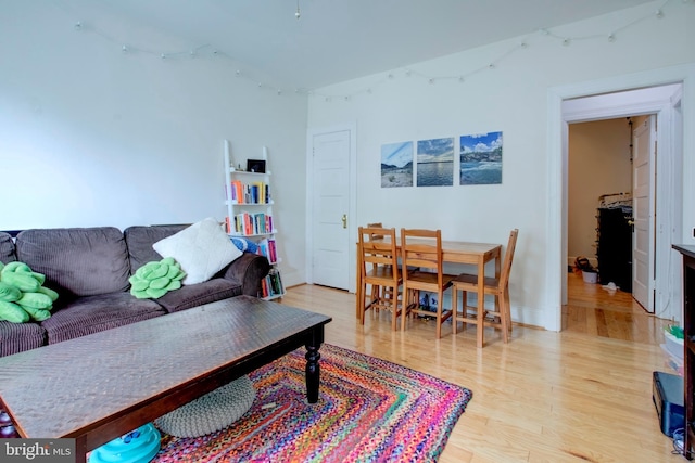 living room featuring light hardwood / wood-style flooring