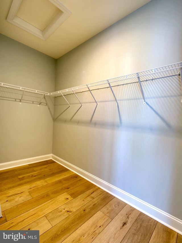 spacious closet featuring hardwood / wood-style floors