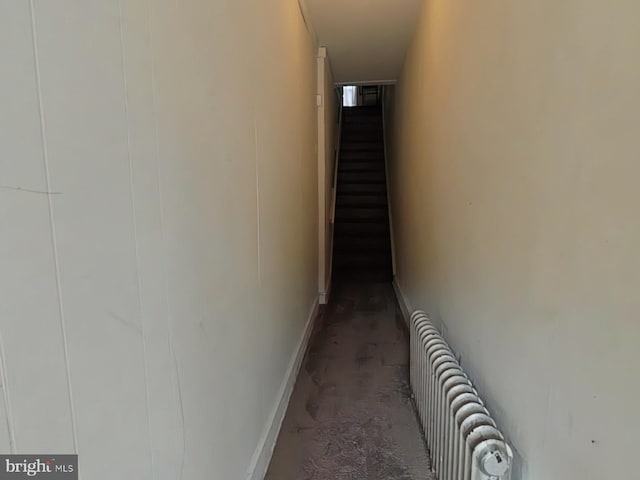 hallway featuring carpet flooring and radiator heating unit