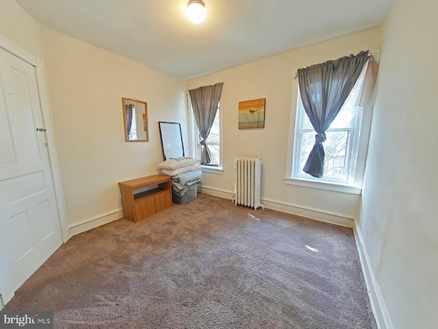 bonus room with carpet flooring, radiator heating unit, and a healthy amount of sunlight