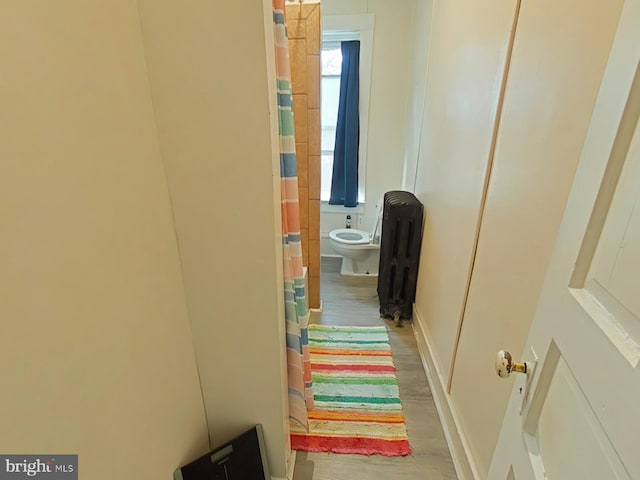 hallway featuring hardwood / wood-style flooring