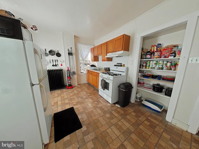 kitchen featuring radiator heating unit, sink, and white appliances