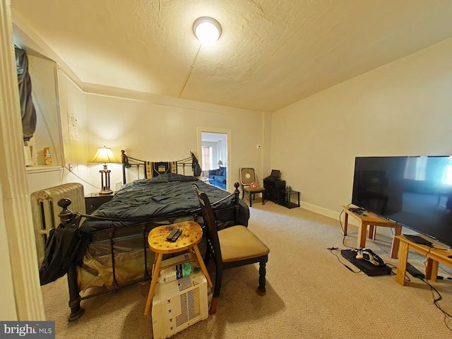 bedroom with carpet and a textured ceiling