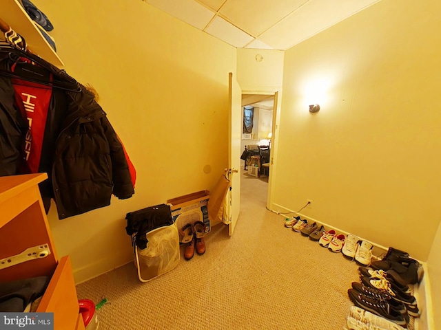 misc room with light colored carpet