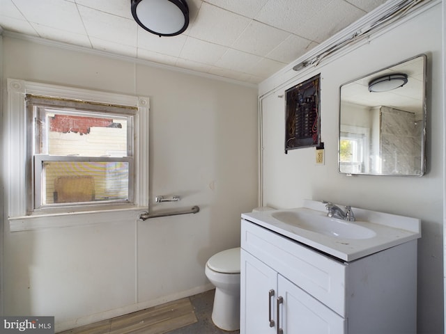 bathroom with vanity, hardwood / wood-style flooring, toilet, and a wealth of natural light