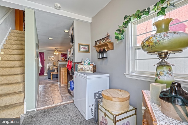 laundry area with ceiling fan and carpet floors