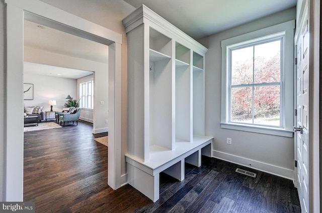 mudroom with dark hardwood / wood-style flooring