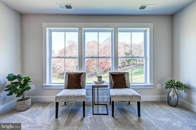 living area with carpet flooring and a wealth of natural light