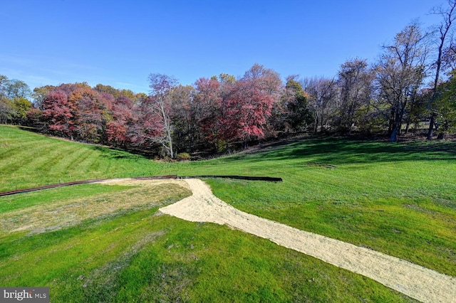 surrounding community featuring a yard