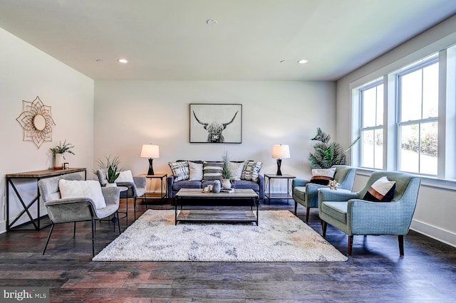 living room with dark hardwood / wood-style flooring