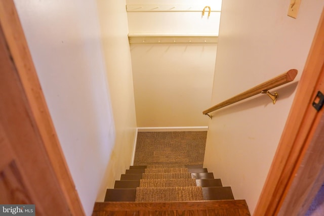 stairs with carpet floors