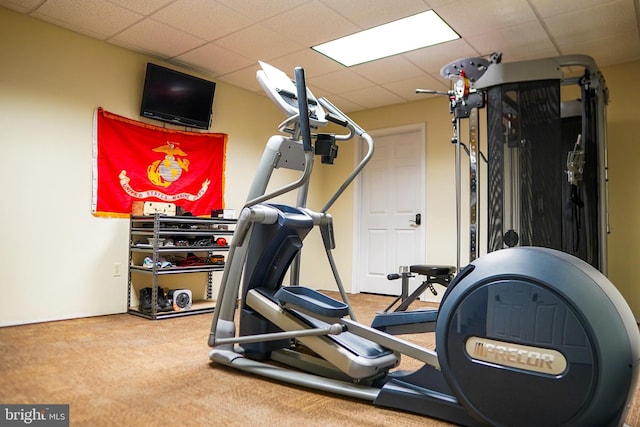 workout room with carpet flooring and a drop ceiling