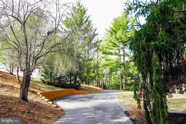 view of street