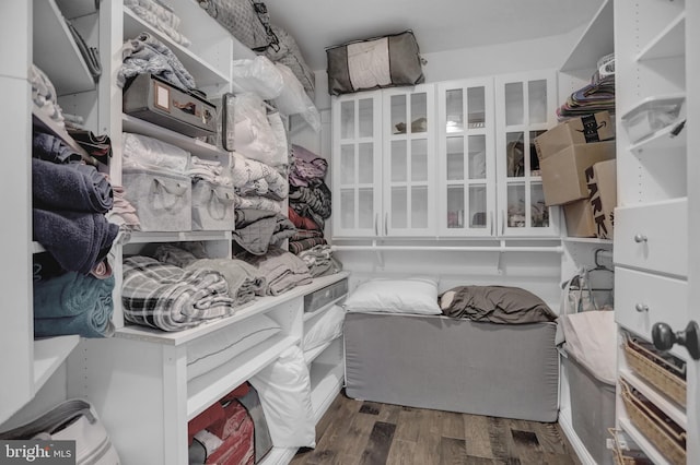 spacious closet featuring dark hardwood / wood-style floors