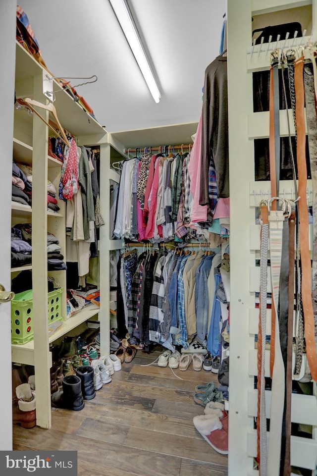 walk in closet featuring hardwood / wood-style floors