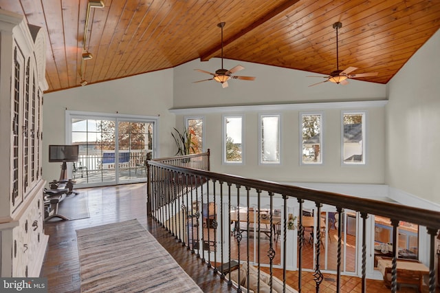 corridor with beam ceiling, wood ceiling, high vaulted ceiling, and dark hardwood / wood-style flooring