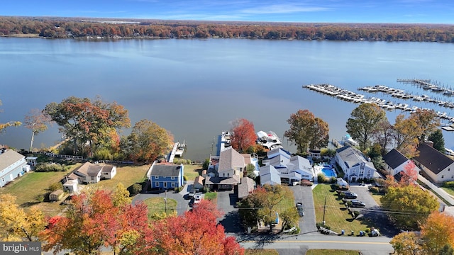 aerial view with a water view