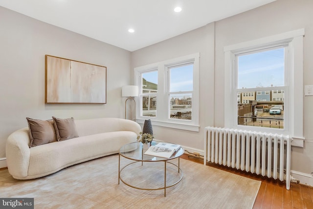 living room with radiator heating unit and wood-type flooring