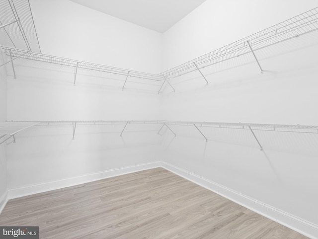 walk in closet with light hardwood / wood-style flooring