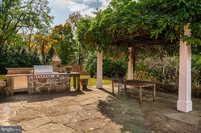 view of patio with area for grilling and grilling area