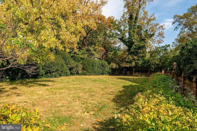 view of yard