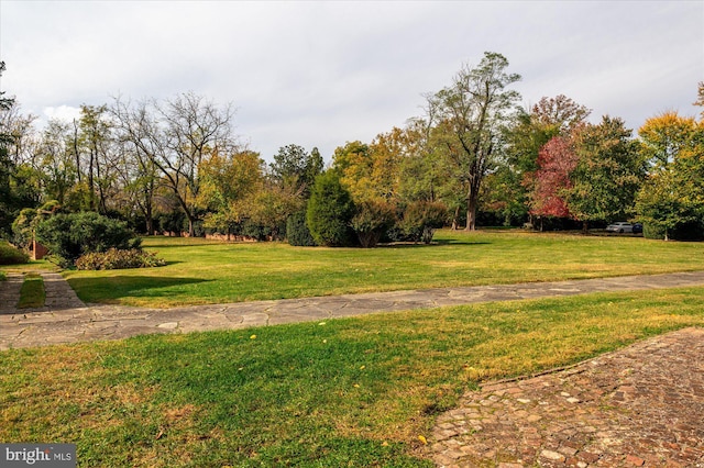 surrounding community featuring a yard