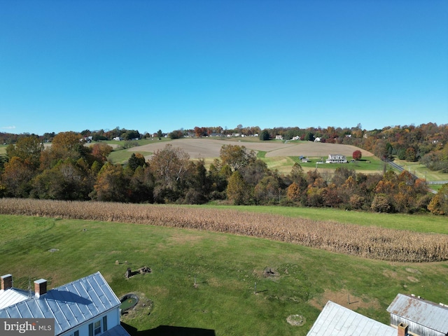 view of yard featuring a rural view